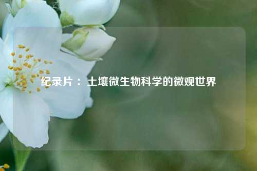 纪录片 ：土壤微生物科学的微观世界
