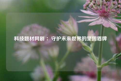 科技题材网剧 ：守护未来世界的坚固盾牌