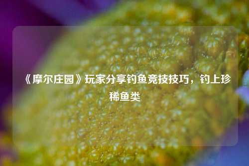 《摩尔庄园》玩家分享钓鱼竞技技巧，钓上珍稀鱼类
